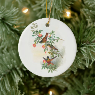 Golden Star-frontlet , tree Ceramic Tree Decoration