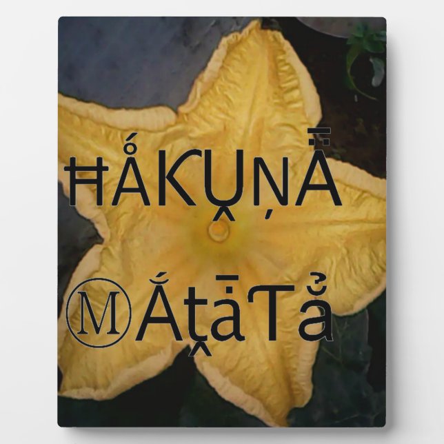 Golden Star Hakuna Matata Art Print Plaque (Front)