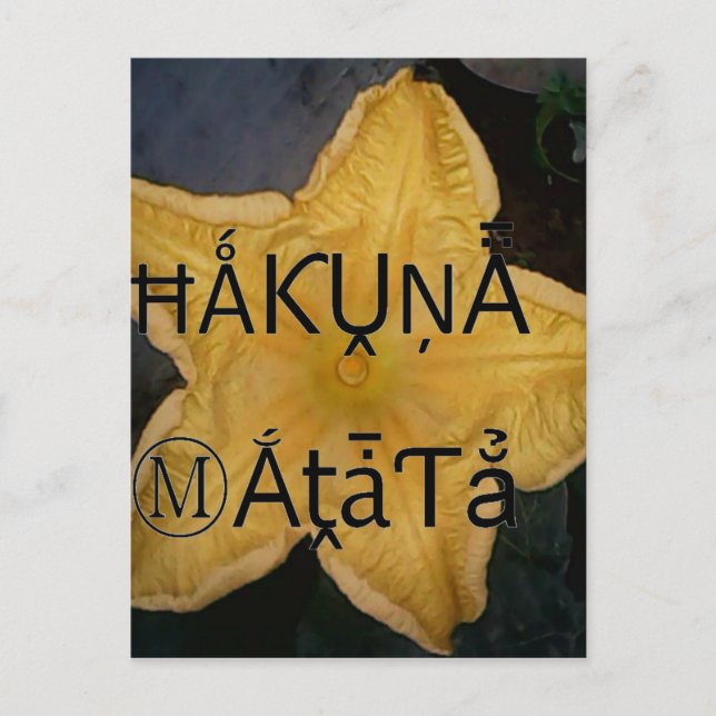 Golden Star Hakuna Matata Art Print Postcard (Front)