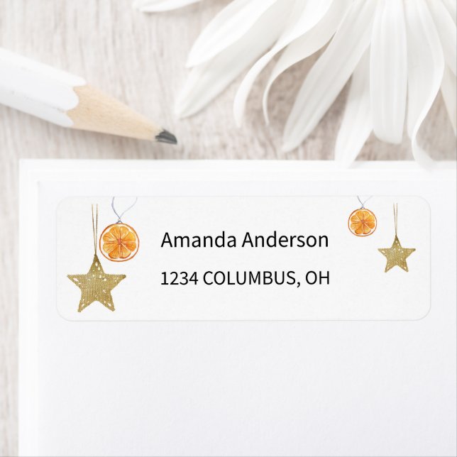 Golden Stars Ornaments And Oranges (Insitu)