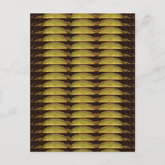 GOLDEN Strips Pattern : From VINTAGE Idol Image Postcard