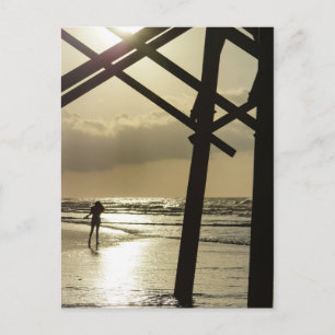 Golden Stroll Postcard