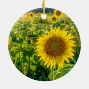 Golden Sunflower Field Ceramic Tree Decoration
