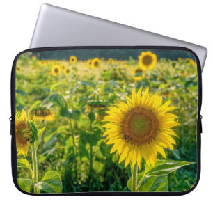 Golden Sunflower Field Laptop Sleeve