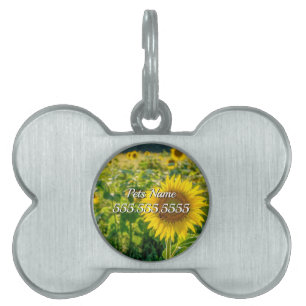 Golden Sunflower Field Pet Tag