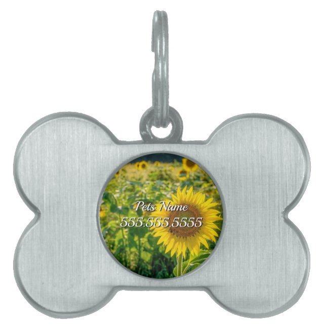 Golden Sunflower Field Pet Tag (Front)
