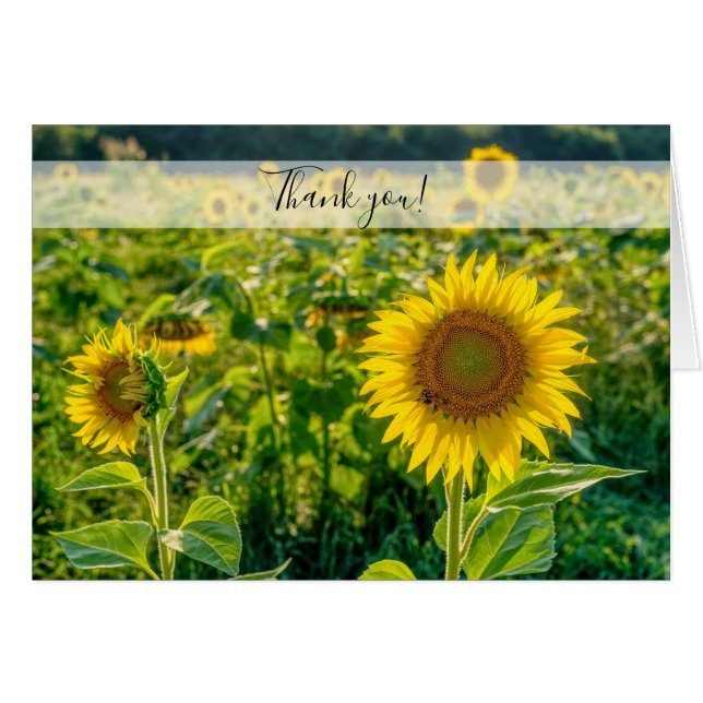 Golden Sunflower Field Thank You Card (Front Horizontal)