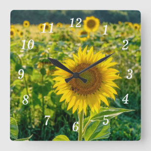 Golden Sunflower Field Wall Clock
