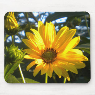 Golden Sunflower Mousepad