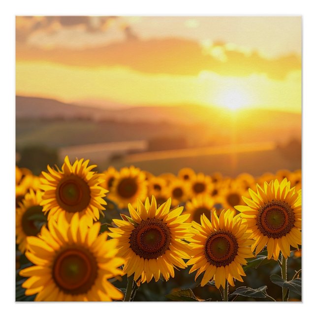 Golden Sunflower Sunset Poster (Front)