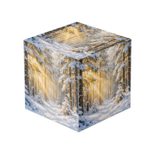 Golden Sunlight   Painterly Winter Woodland Cube