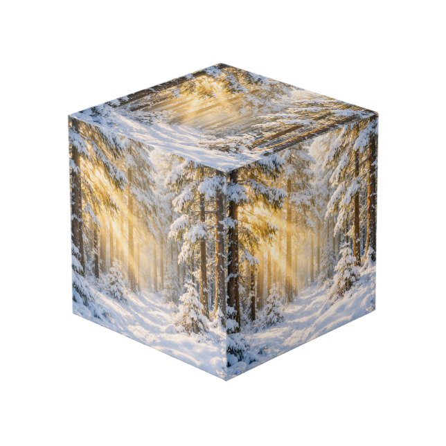 Golden Sunlight | Painterly Winter Woodland Cube (Front Angled)