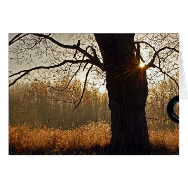 Golden Sunrise (Front Horizontal)