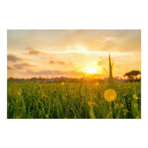 Golden Sunrise Over Dewy Field Nature Photo Print