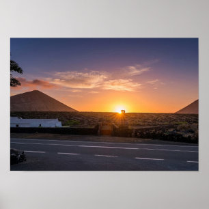 Golden Sunrise over Lanzarote Volcanic Vineyard Poster