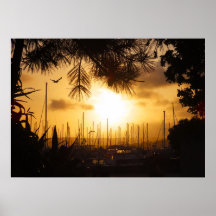 Golden Sunrise over the Harbour