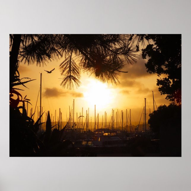 Golden Sunrise over the Harbour Poster (Front)