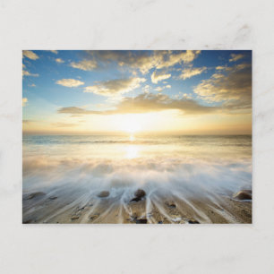 Golden Sunrise Postcard