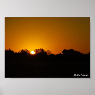 Golden Sunrise Poster