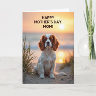 Golden Sunset Dog Mothers Day Card