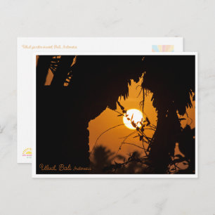 Golden Sunset Garden Ubud – Art Postcard