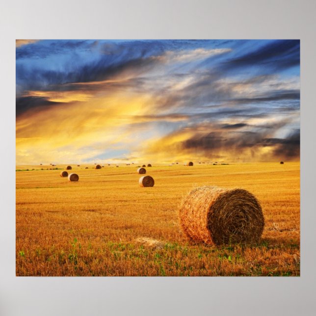 Golden Sunset Over Farm Field Poster (Front)