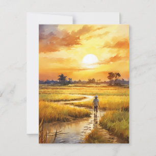 Golden Sunset Over Rural Rice Fields Postcard