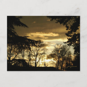 golden sunset postcard