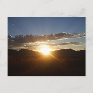 Golden Sunset Postcard