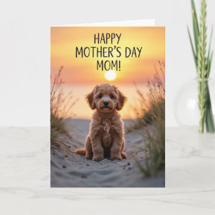 Golden Sunset Puppy Card