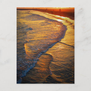 Golden Sunset Waves on the Beach Coastal Photo Postcard