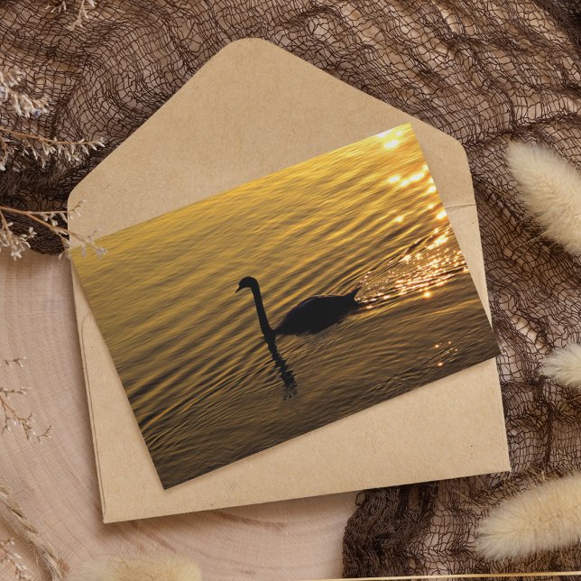 Golden Swan Paper  (Creator Uploaded)