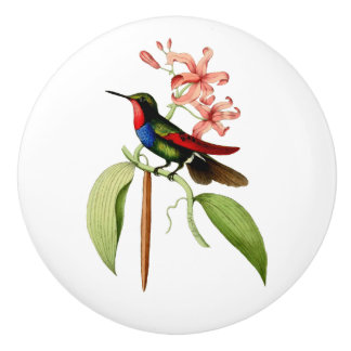 Golden Tailed Sapphire Hummingbird Ceramic Knob
