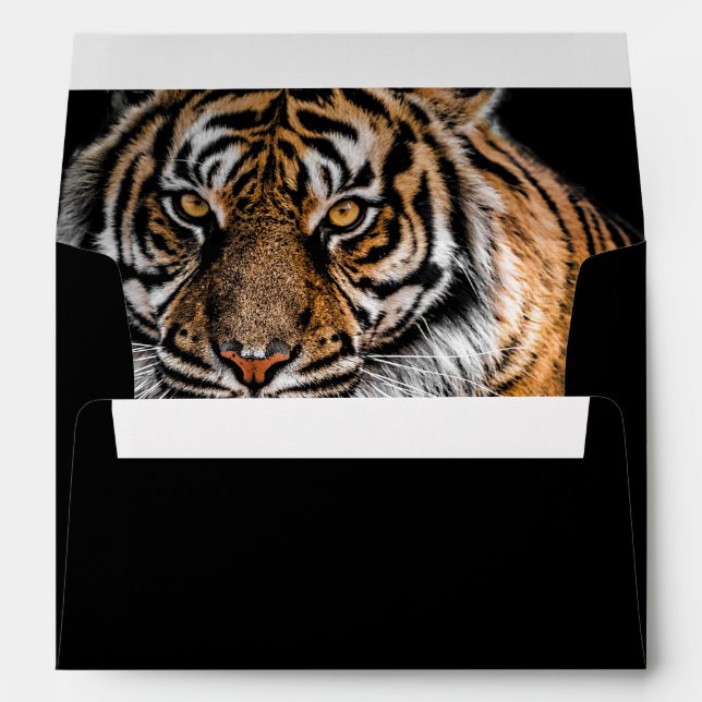 Golden Tiger Envelope (Back (Bottom))