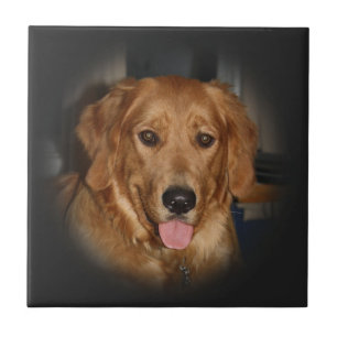 Golden Tile