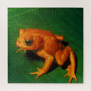GOLDEN TOAD   JIGSAW PUZZLE