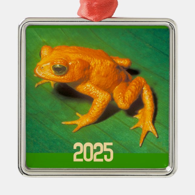 Golden Toad Ornament (Front)