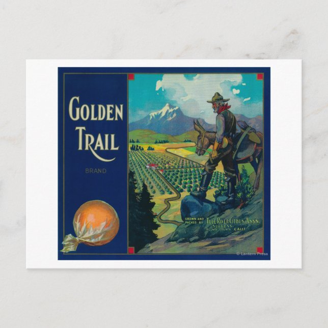 Golden Trail Orange Label #2Success, CA Postcard (Front)