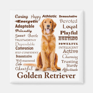 Golden Traits Magnet