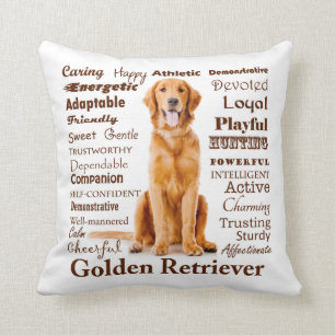 Golden Traits Pillow