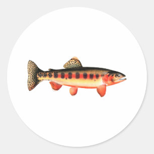 Golden Trout Classic Round Sticker