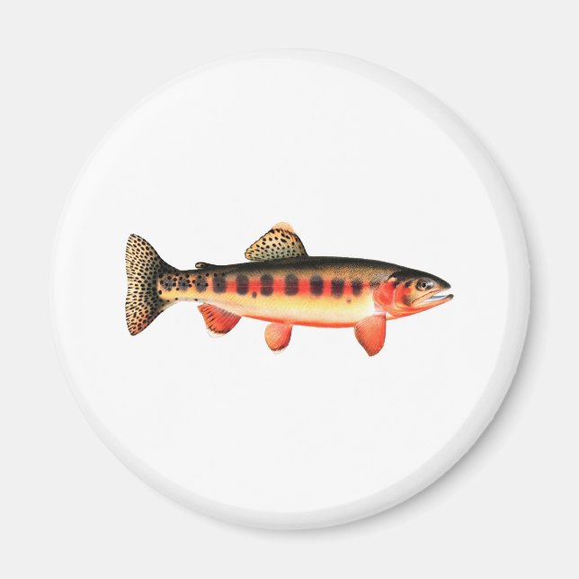 Golden Trout Magnet (Front)