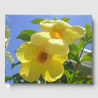 Golden Trumpet Flowers I