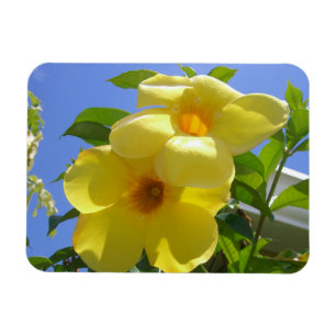 Golden Trumpet Flowers I Magnet