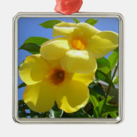 Golden Trumpet Flowers I