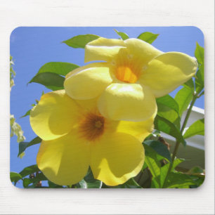 Golden Trumpet Flowers I Mouse Pad