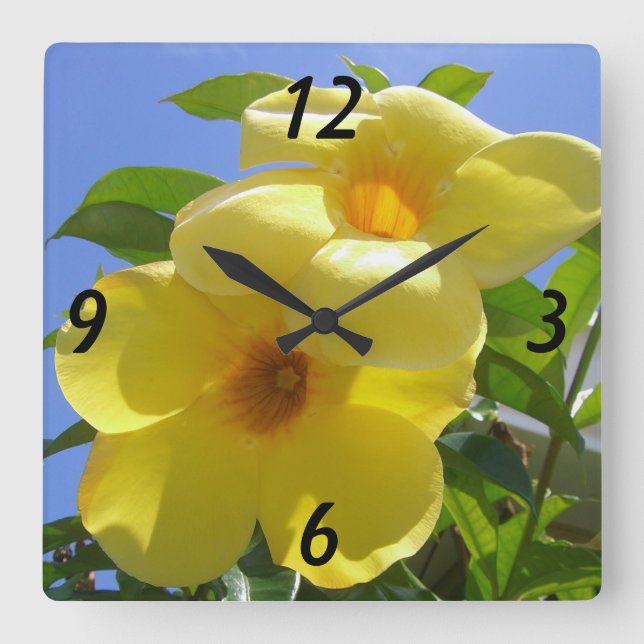 Golden Trumpet Flowers I Square Wall Clock (Front)