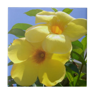 Golden Trumpet Flowers I Tile