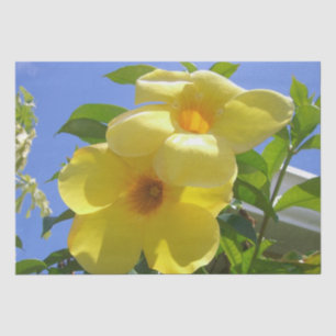 Golden Trumpet Flowers I Tissue Paper