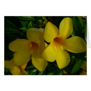 Golden Trumpet Flowers II Tropical